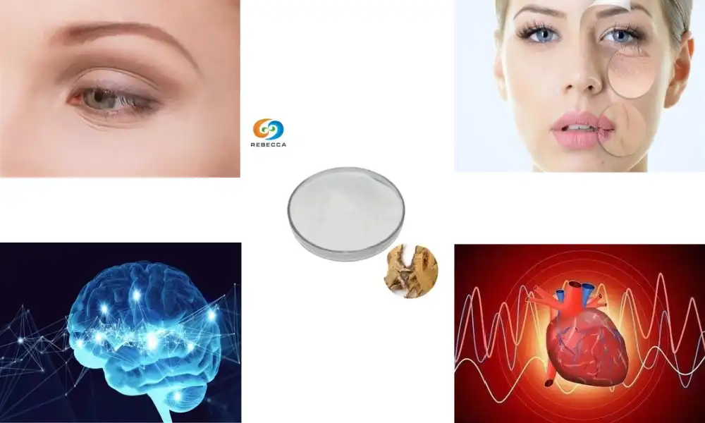 Reverse Aging Naturally with Resveratrol Powder